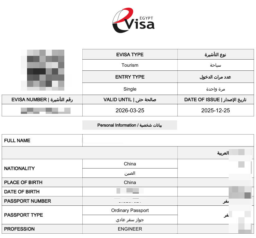 埃及电子签3日极速交付实录